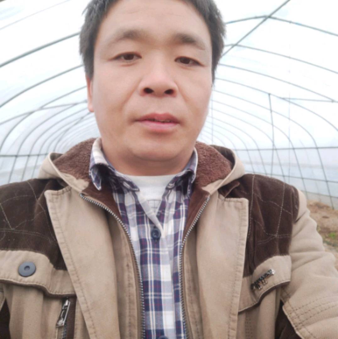路边的野花不要釆的照片