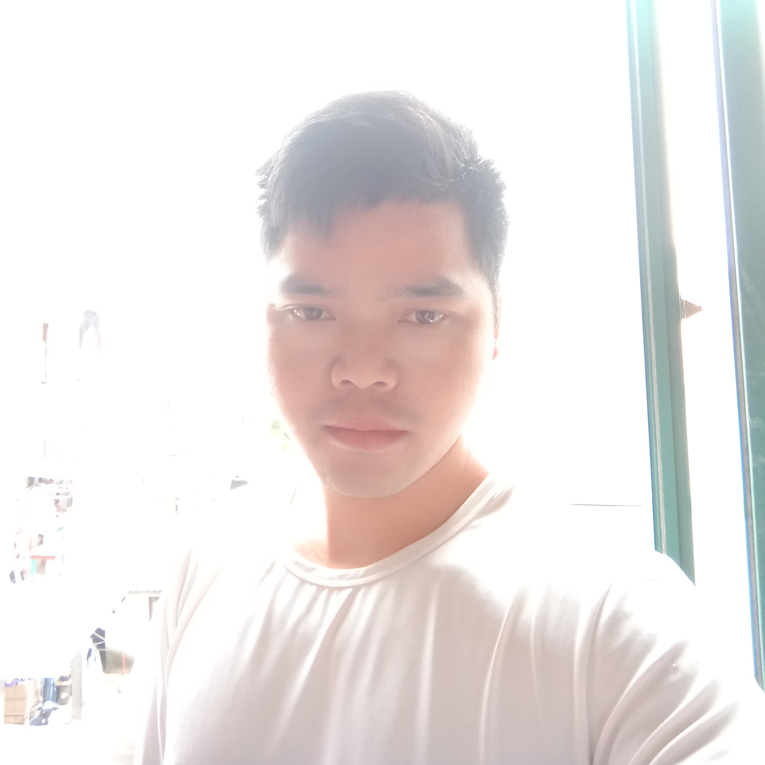 老实苦恋鸡的照片