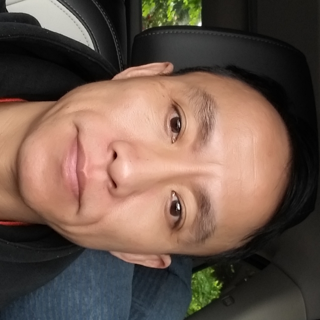 树叶给平淡的照片