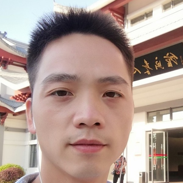 失眠的猫的照片