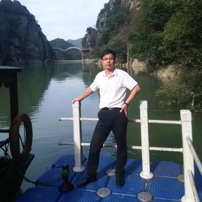 永远的绿叶的照片
