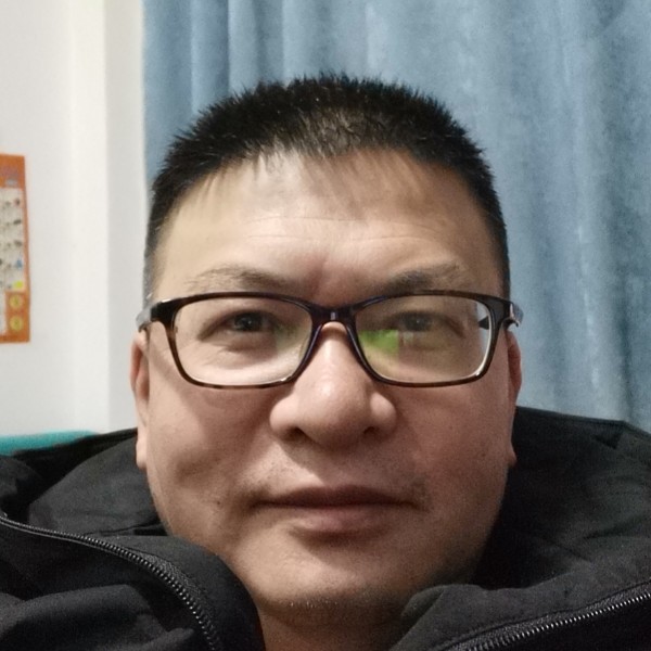大雁請精明的照片
