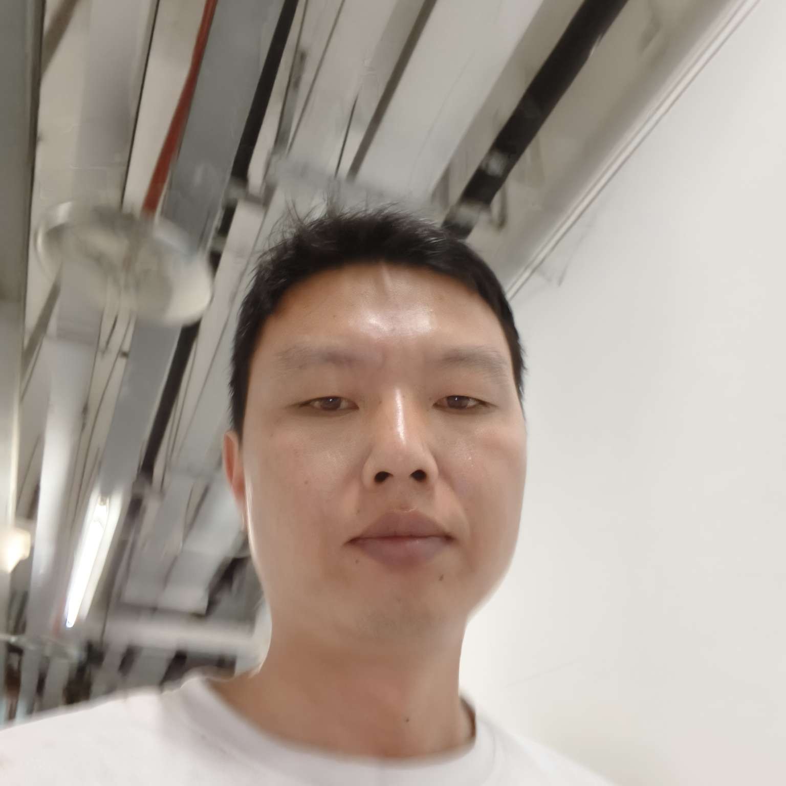 初秋de藤蔓的照片