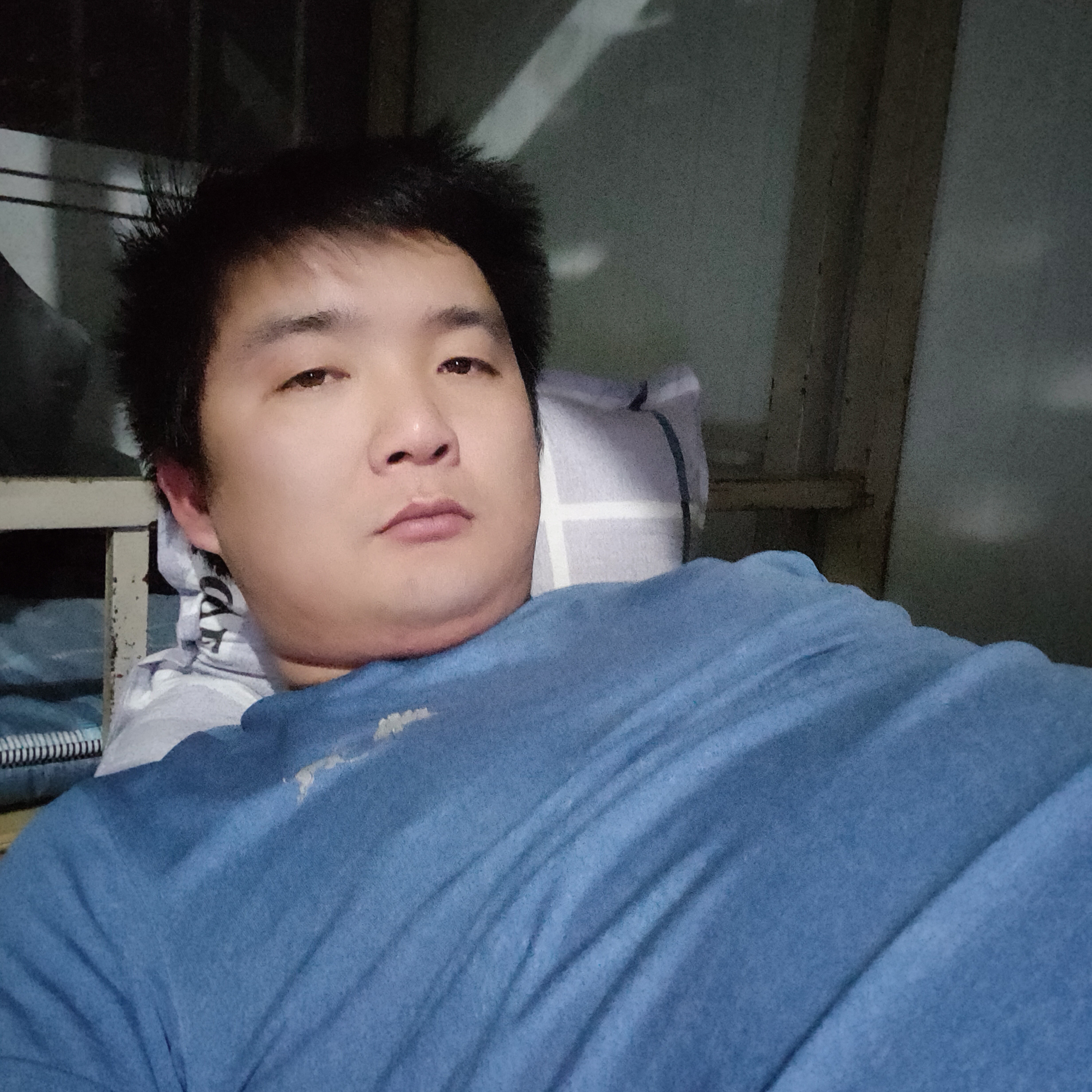鸡外向的照片