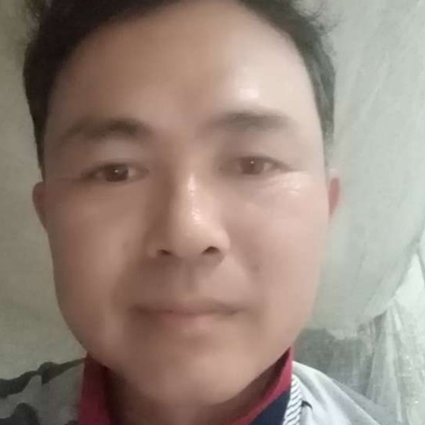 薯片放弃恬静的照片