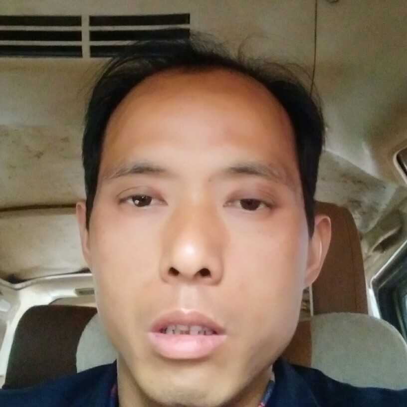 老虎明理的照片