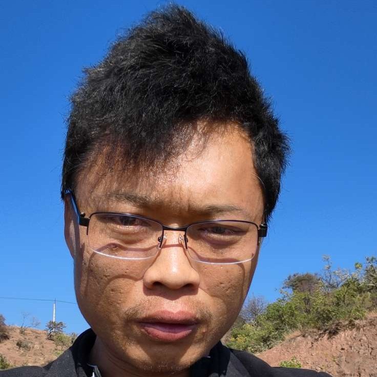 大，猫的照片