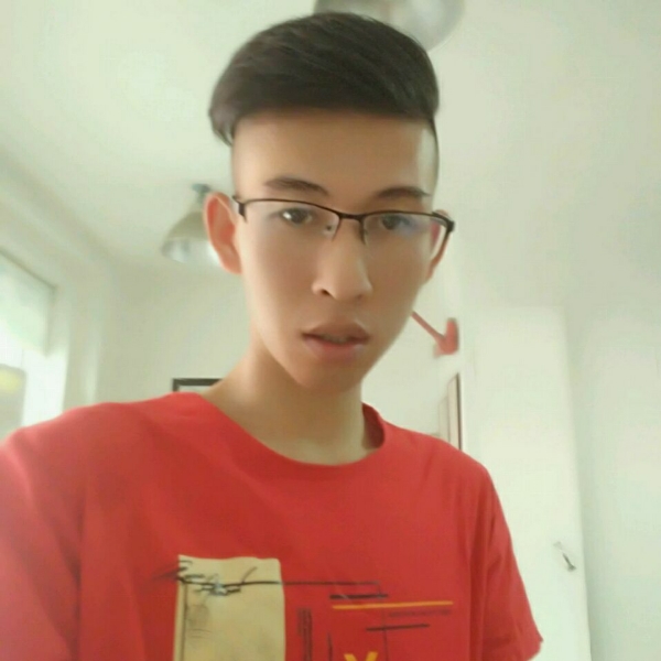 黑夜机智的照片