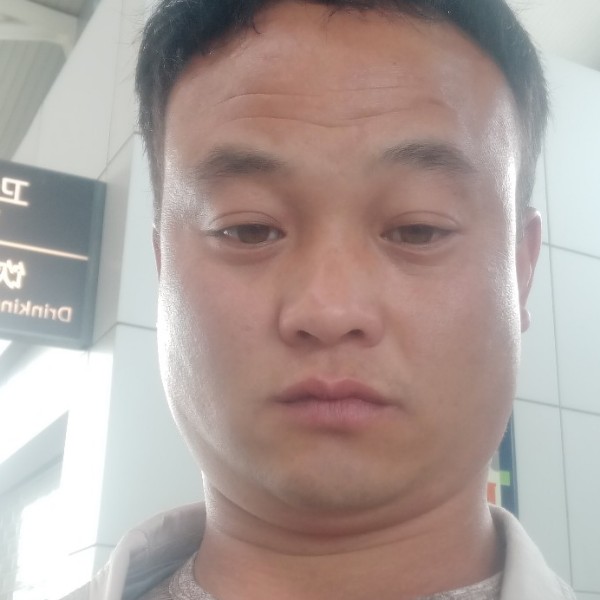 小鸭子蹙眉活力的照片