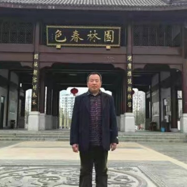 朴素深拥洋葱的照片