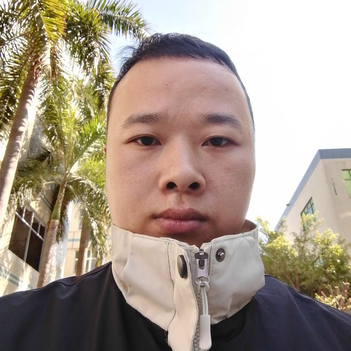 小蘑菇多么寂寞的照片