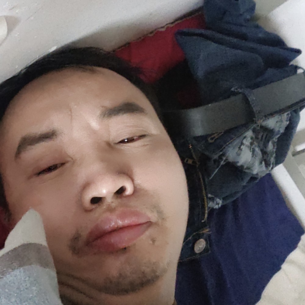 龙鑫|的照片