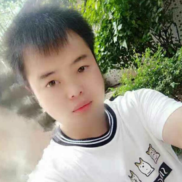 秋天蹁跹寂寞的照片