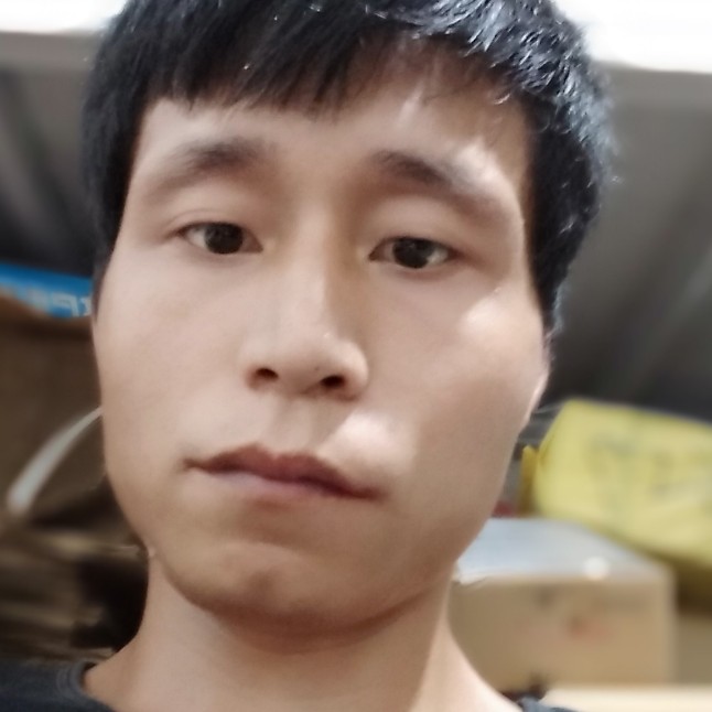 紫叶星辰的照片