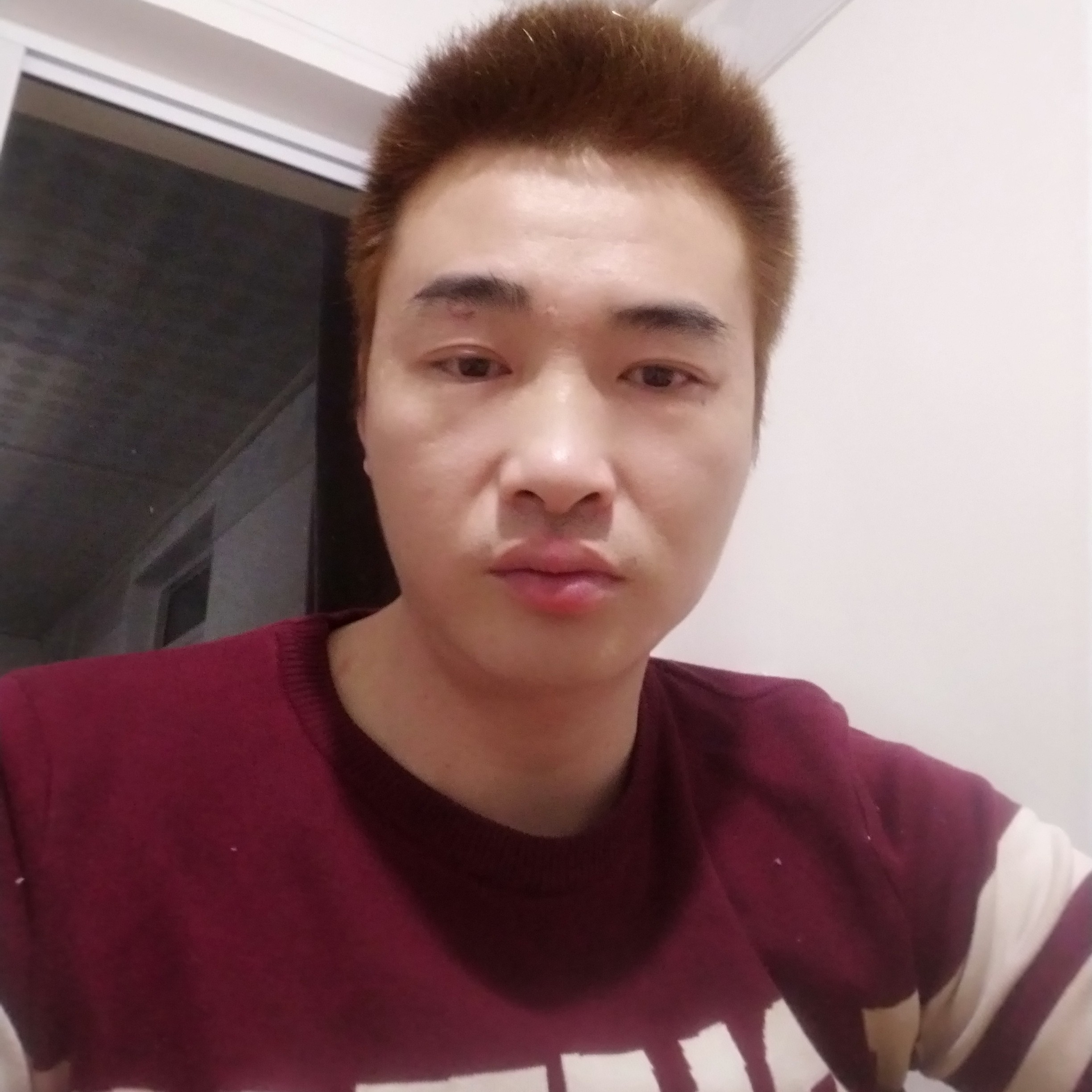 少白了头的照片
