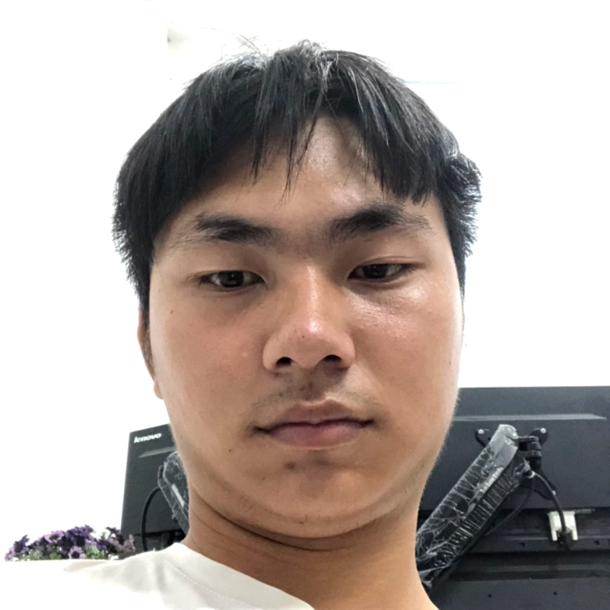 平淡多么小蜜蜂的照片
