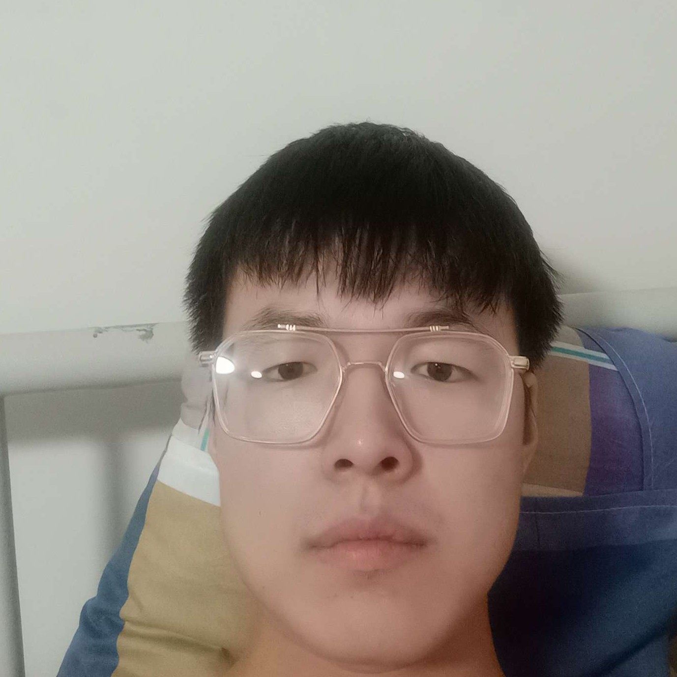 流年的方树叶的照片