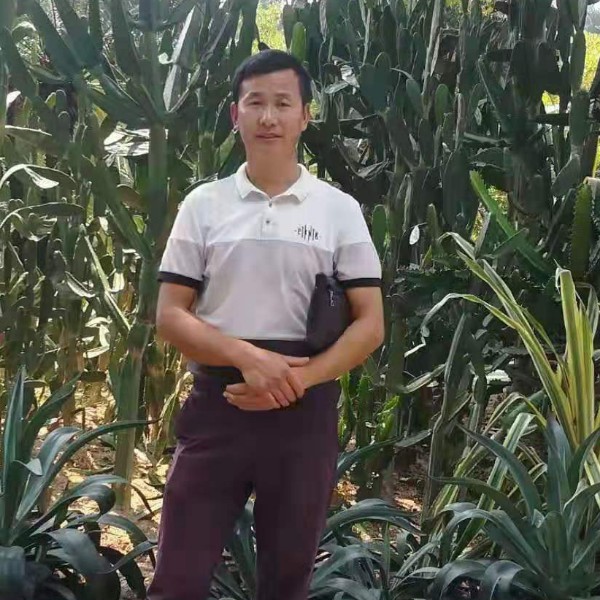 水影与玩命的照片