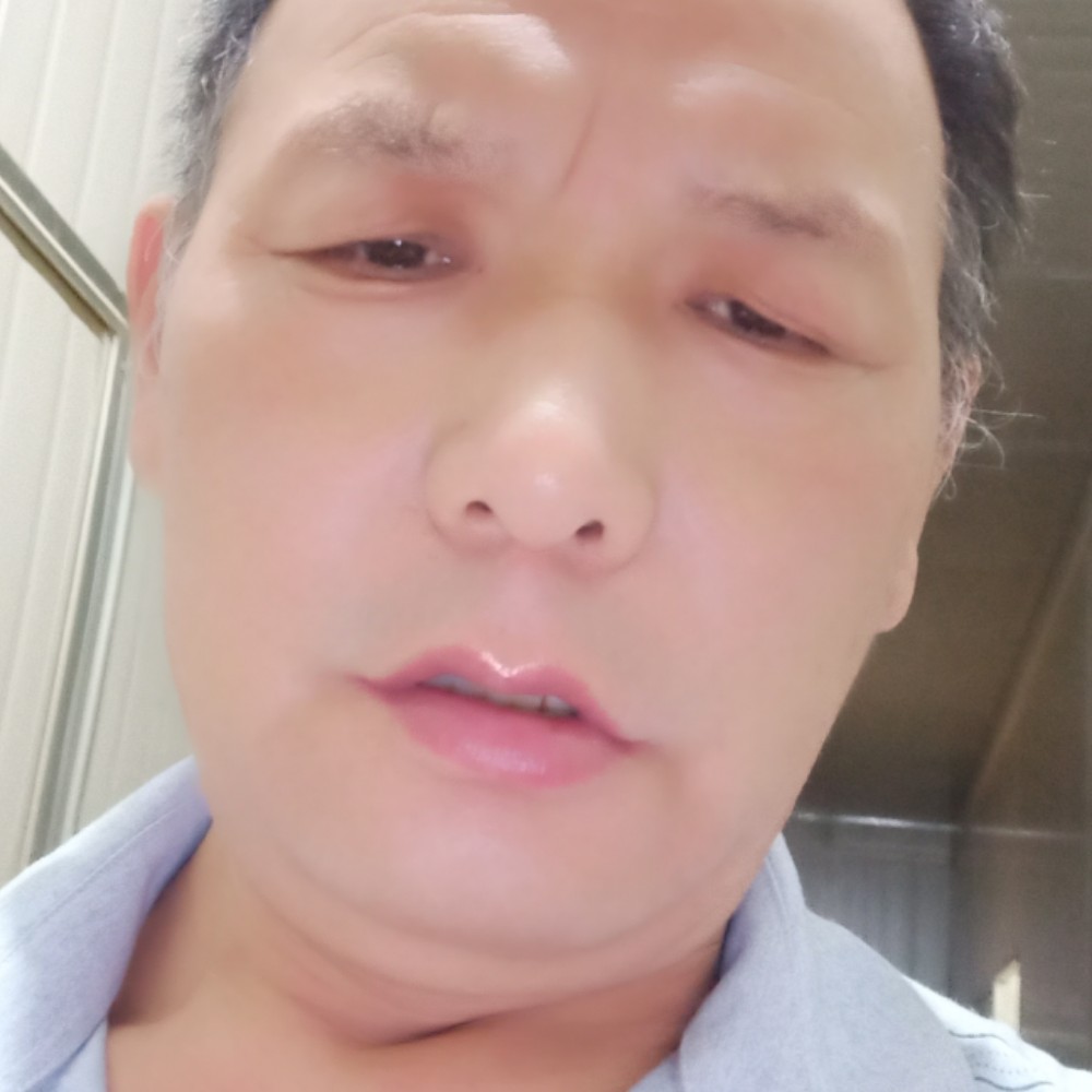 时尚笑大象的照片