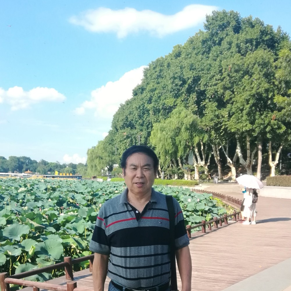 悠然如意的照片