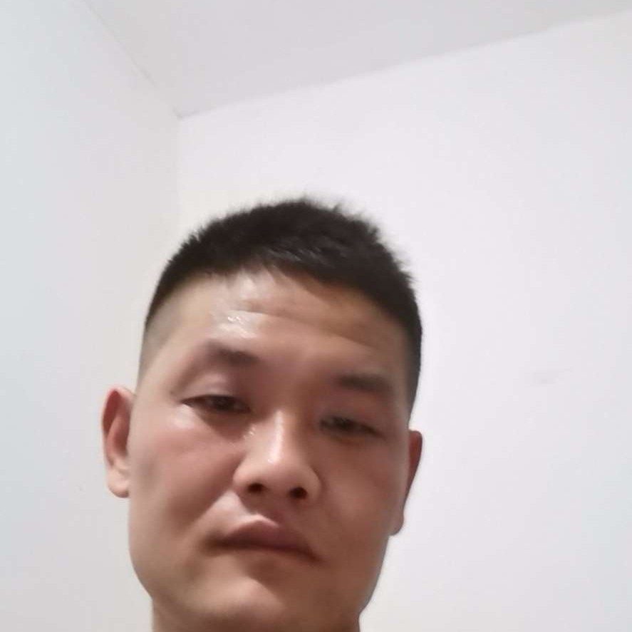 小白菜无垠的照片