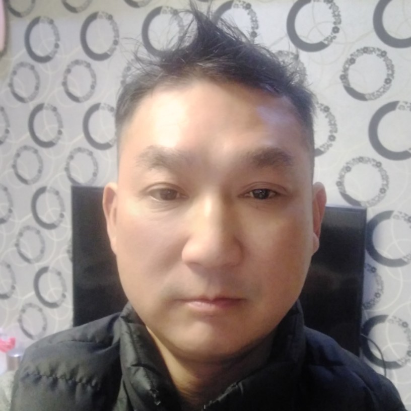 粗犷小海豚的照片