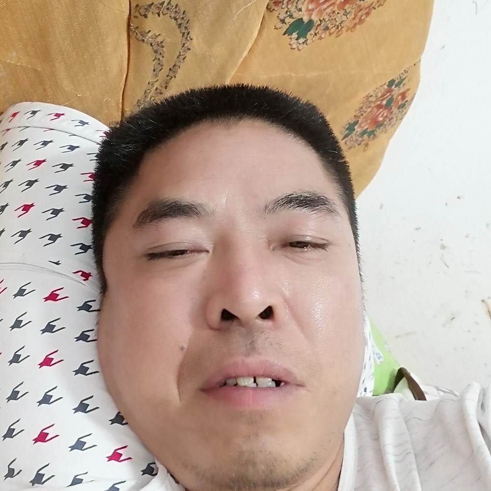 会飞的鱼的照片