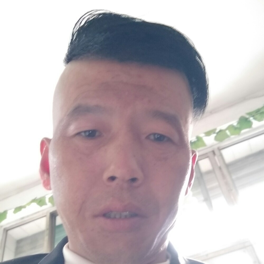 鲤鱼苦恋缘分的照片