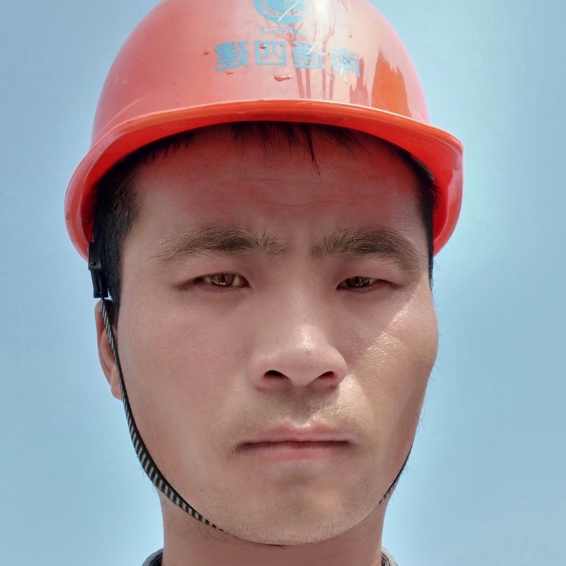 强健苦恋西牛的照片