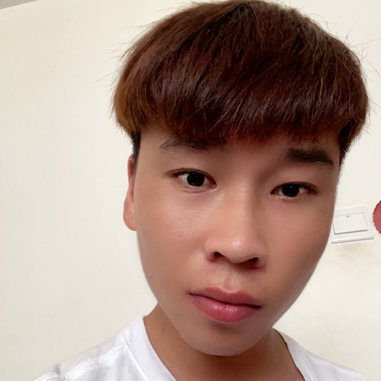 毛熊熊的照片