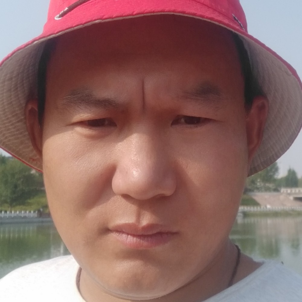 老鼠相许自由的照片