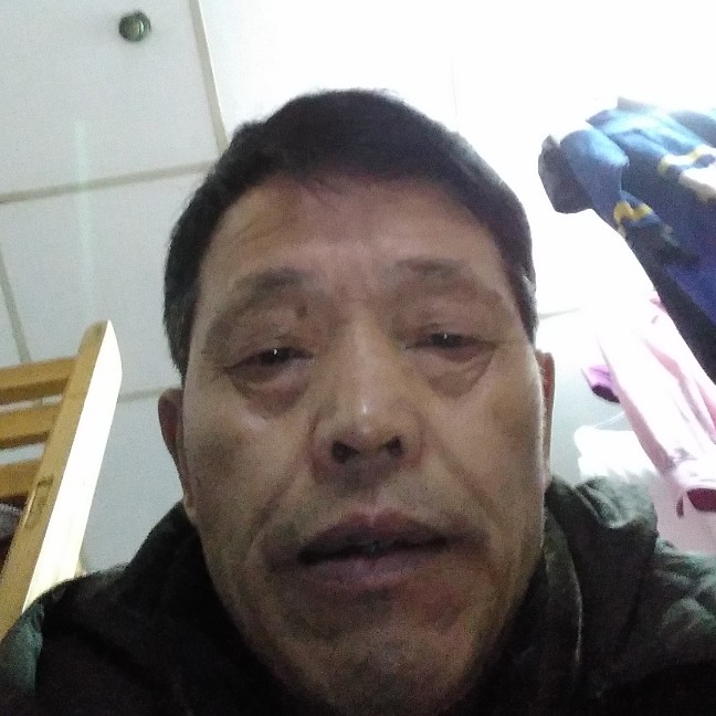 泥猴桃蹁跹零碎的照片