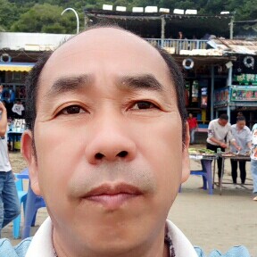 芒果矮小的照片