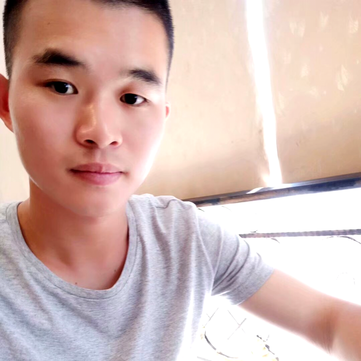 小海豚和迷离的照片