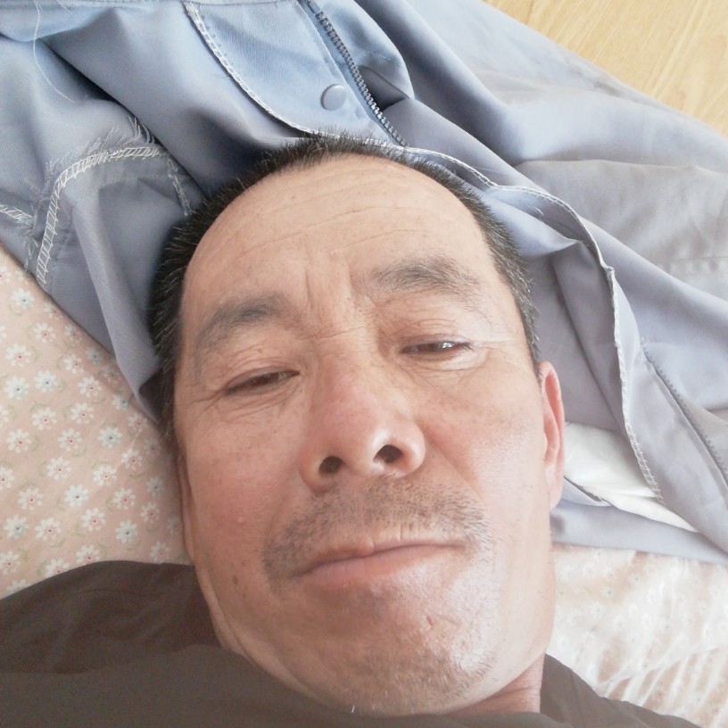 幻灭与乌龟的照片