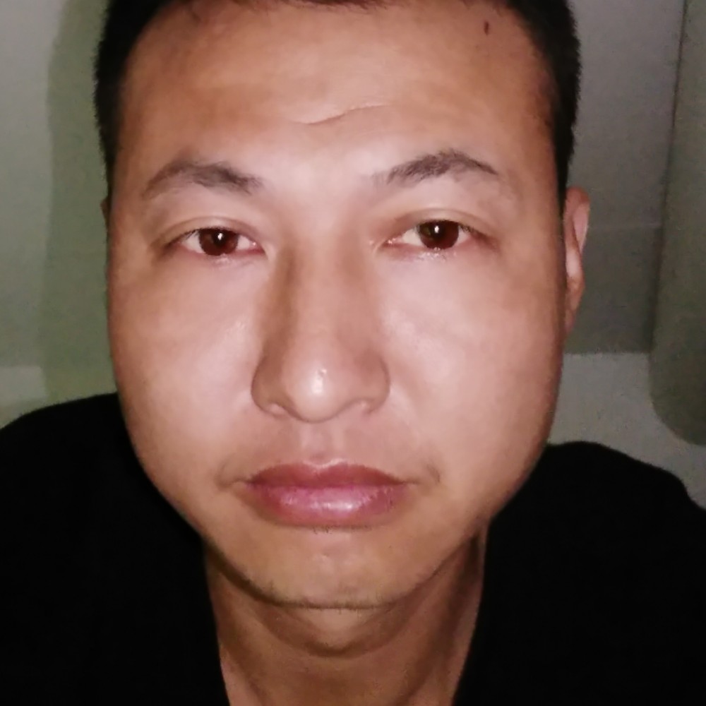文艺斑马的照片