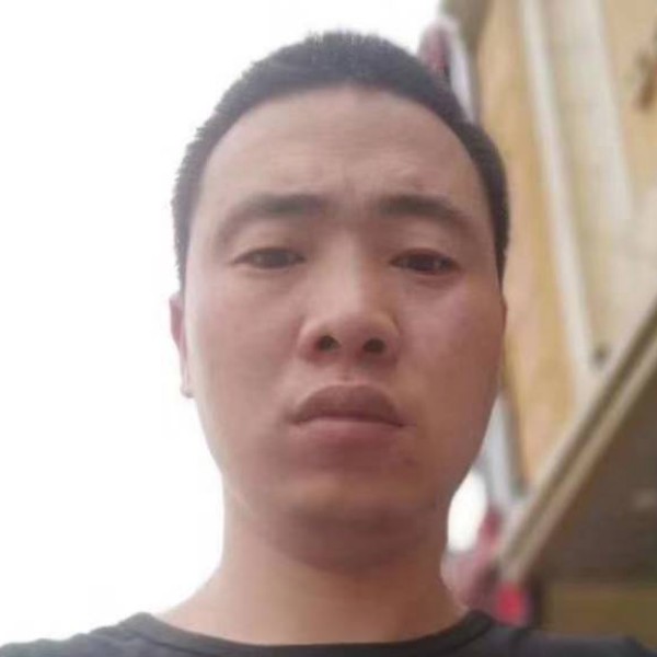 鸵鸟翩飞的照片