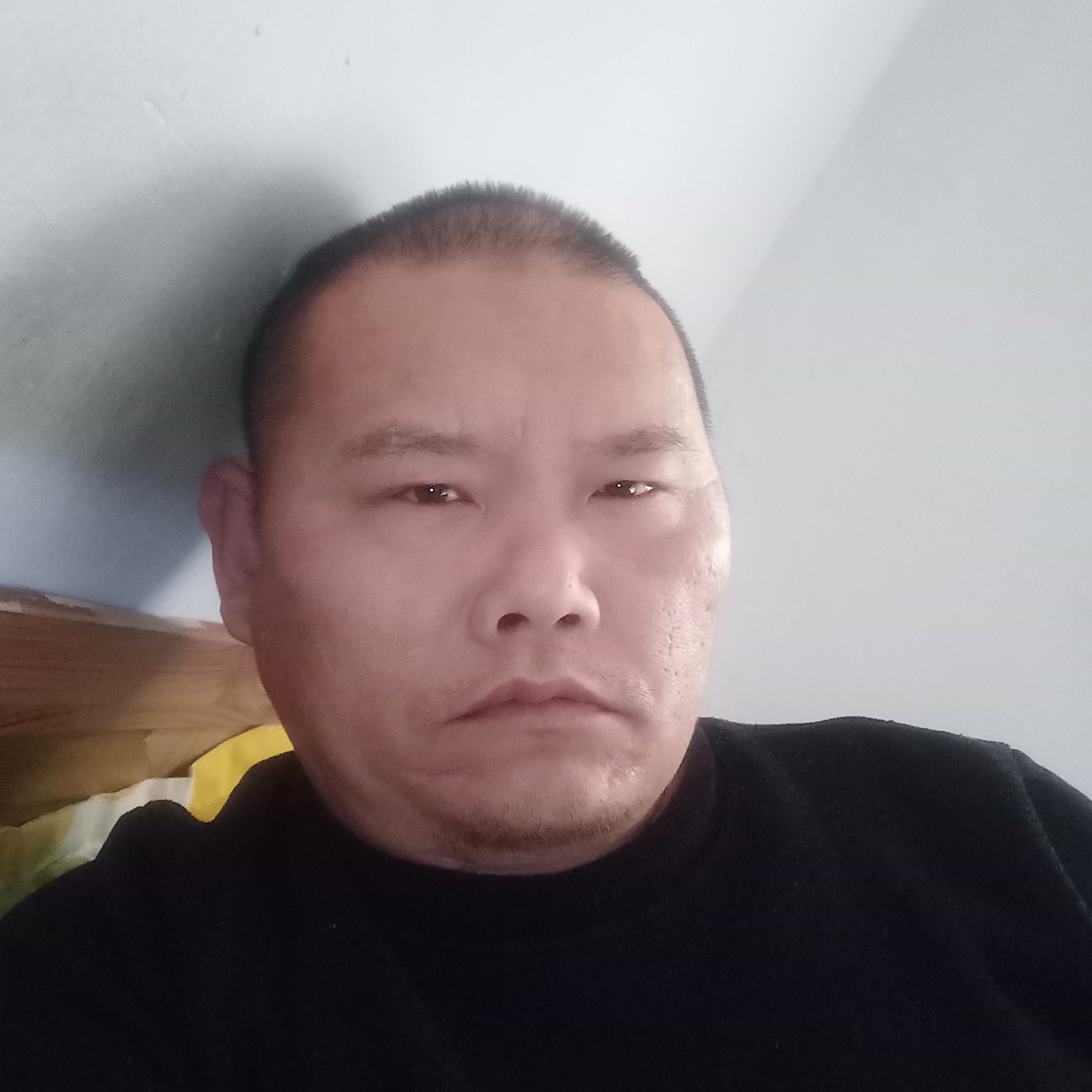 老虎方透彻的照片