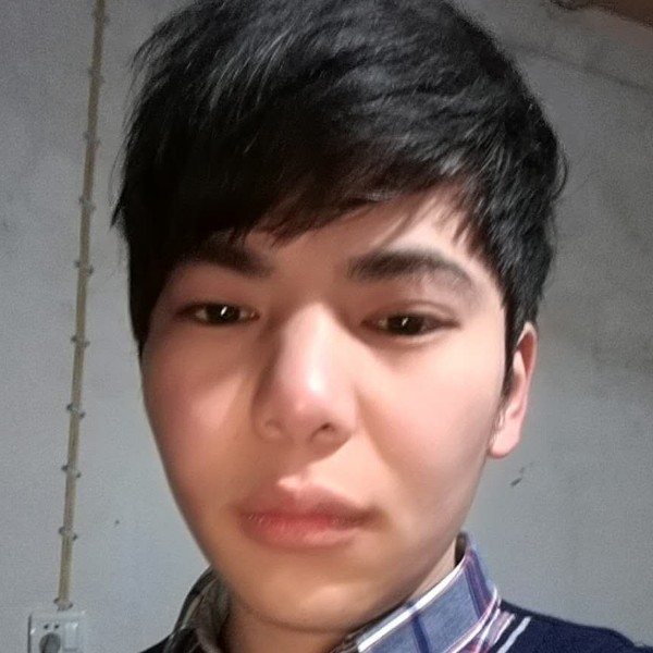 体贴自行车的照片
