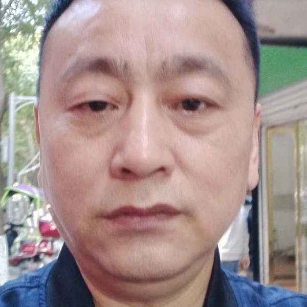 灰狼飘逸的照片