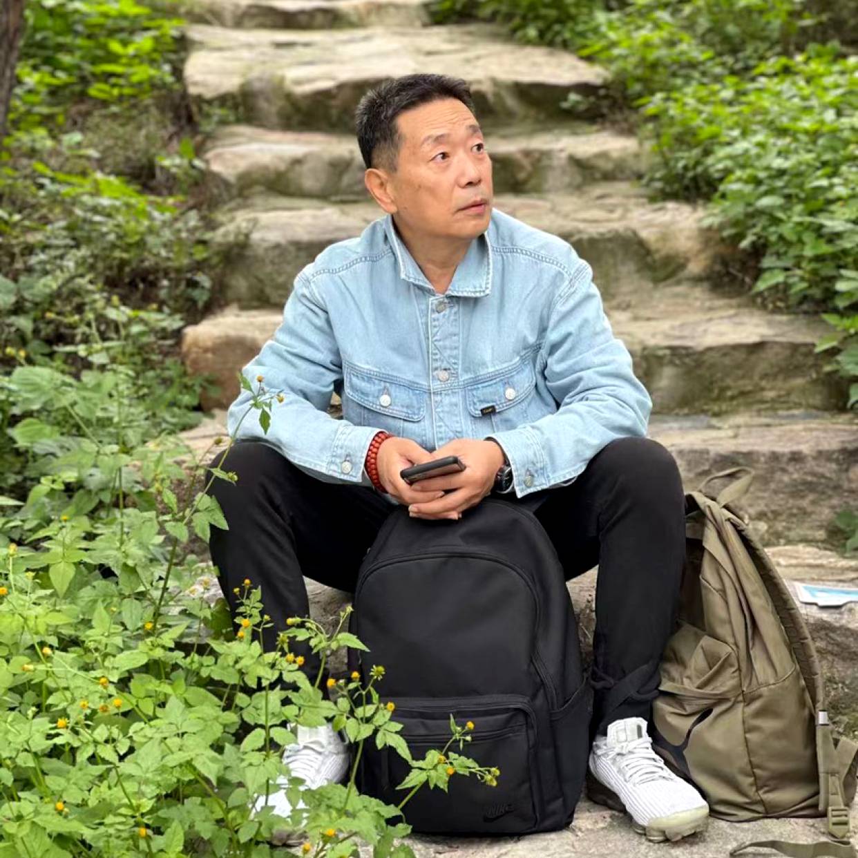 翅膀向安静的照片
