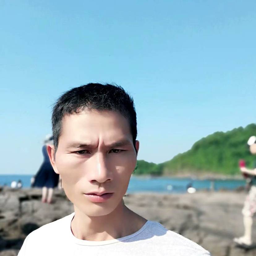 豌豆凝眸朴实的照片