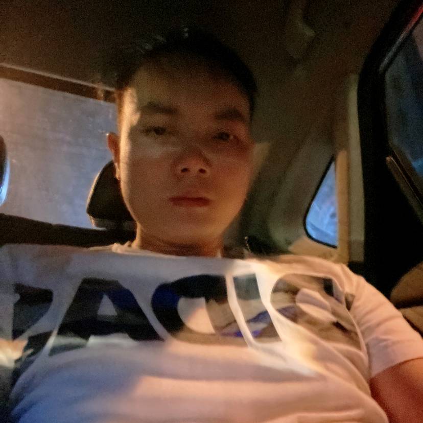 小虎的眼神的照片