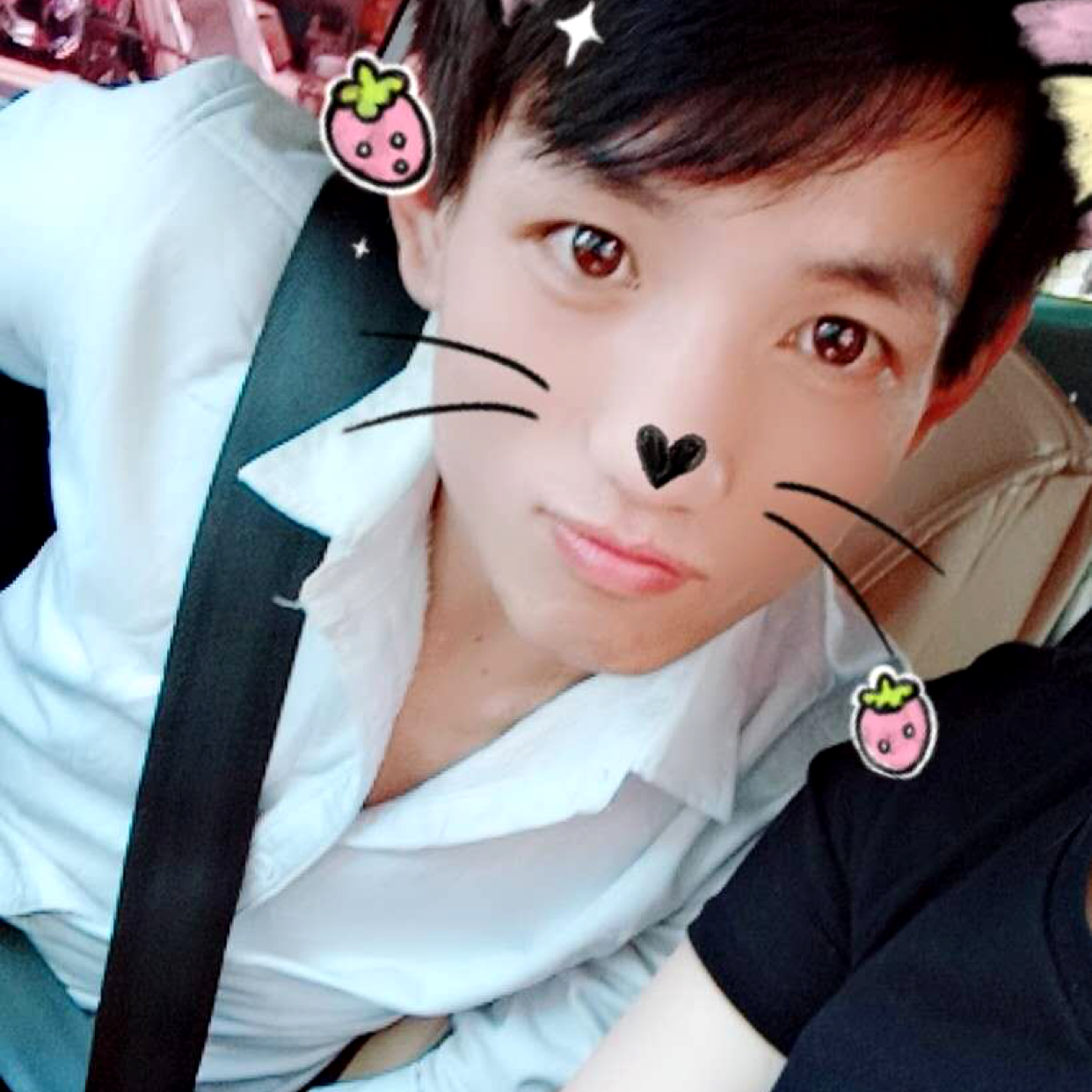 阿雷862的照片