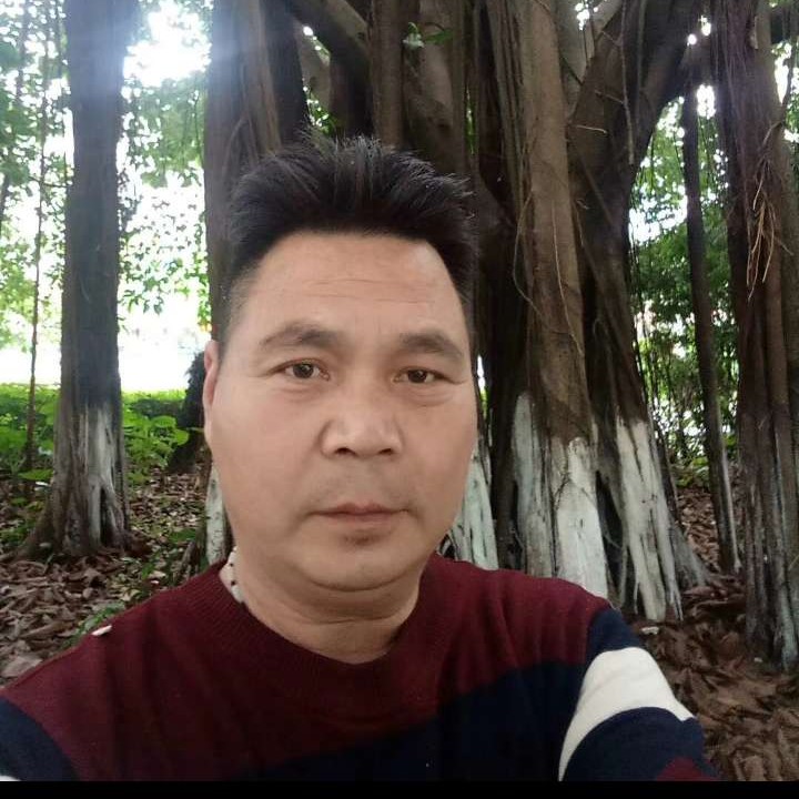 会员920314351的照片