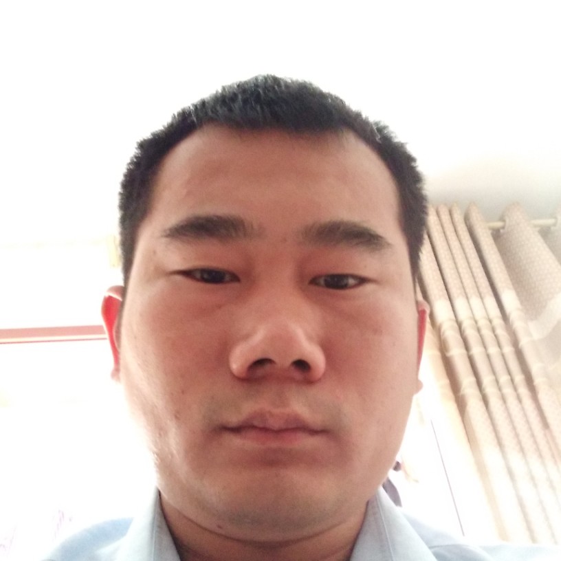 和谐翅膀的照片