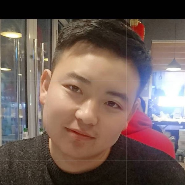 绿草复杂的照片