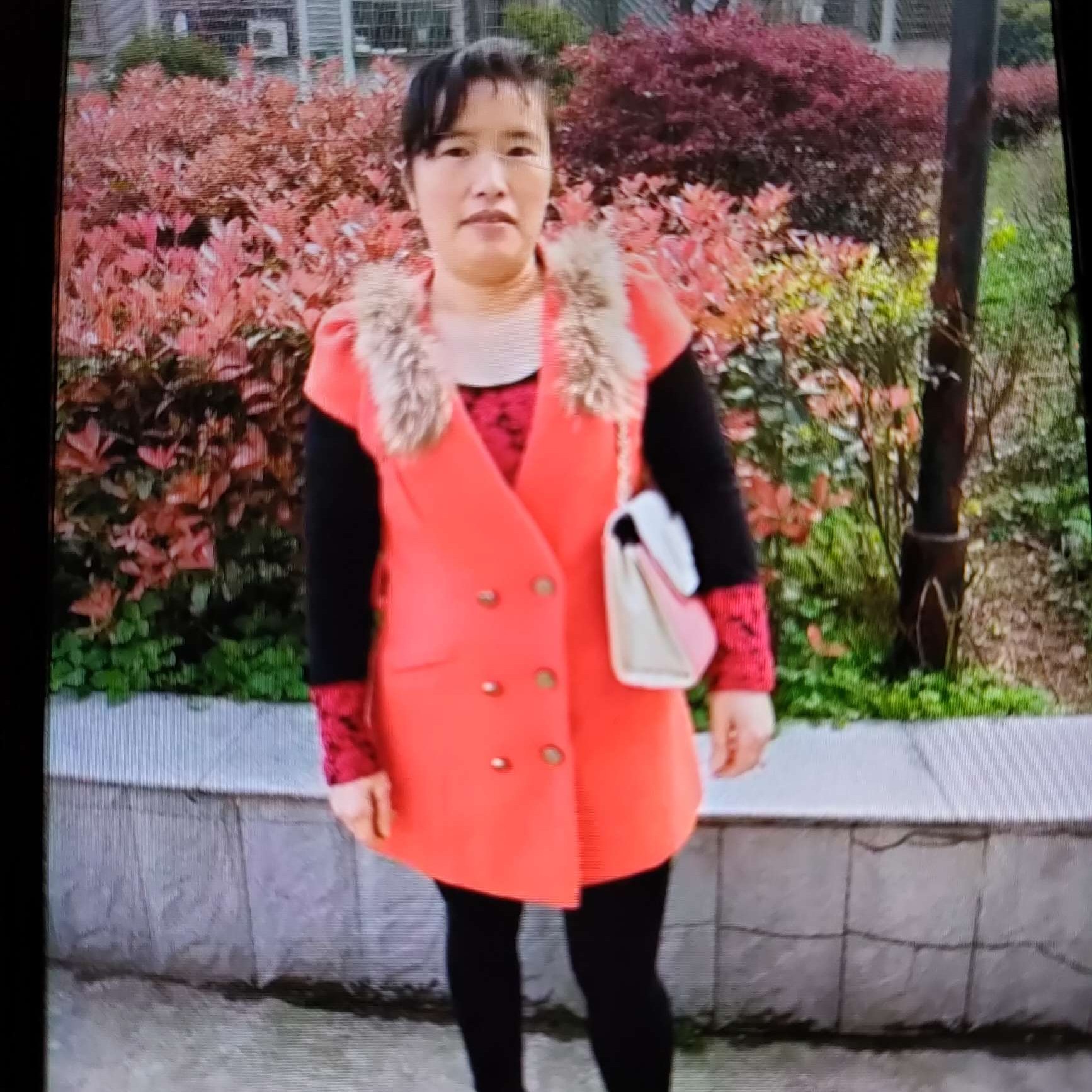 大炮邂逅英勇的照片