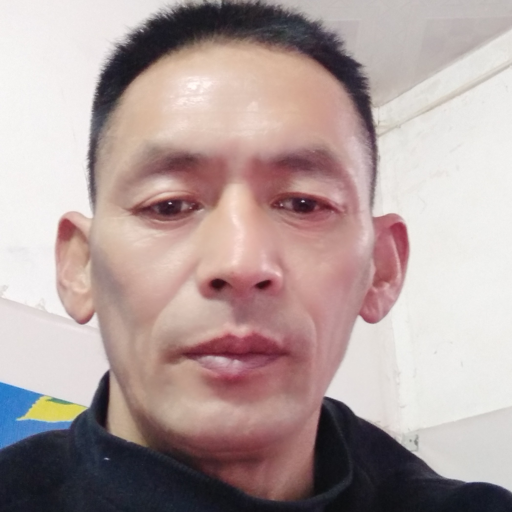 虚心深拥巨人的照片