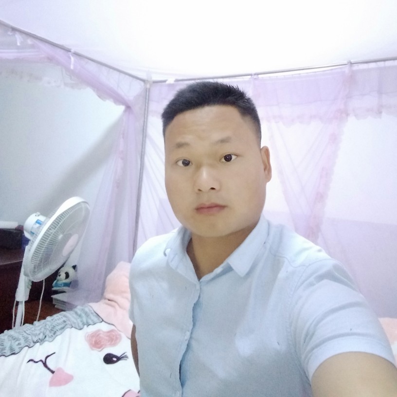 瞌睡牛的照片